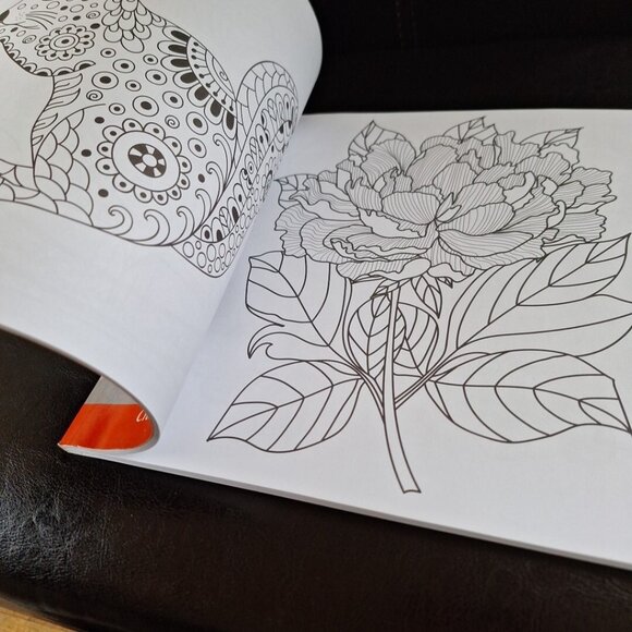 The Colours of Treasures and Trinkets Adult Coloring Book NEW - Picture 11 of 14